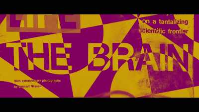 Then he took out
a  Life  magazine. - My Psychedelic Love Story