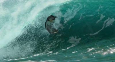 Then you try to remember it - Surf's Up