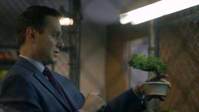 Then you visualize
what you want that tree to look like, - Cobra Kai