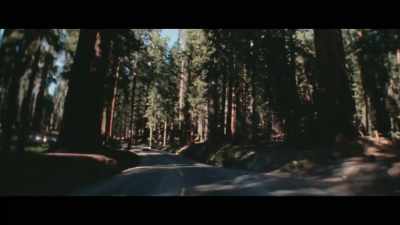 Then we were given
instructions to go - Heaven's Gate: The Cult of Cults