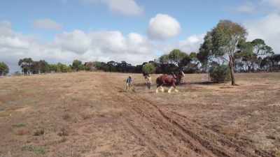 ..then you've got what we call
the root of the problem. - Aussie Inventions That Changed The World