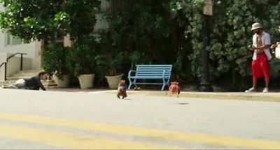 Theo.
Theodore! - Alvin and the Chipmunks: The Road Chip