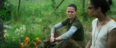 Theoretically, as long as a year. - Annihilation