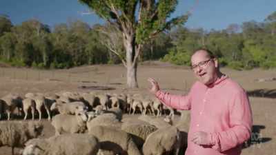 There were 20 sheep
for every single Australian. - Aussie Inventions That Changed The World