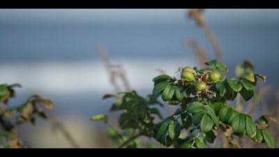There was a beach right where I lived,
and that's where we met. - Chasing Waves
