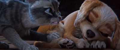 There is a big, scary, ugly bird - Gracie & Pedro: Pets to the Rescue