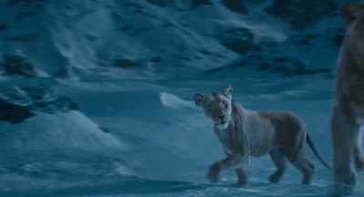 There is a civet in the snow - Mufasa: The Lion King