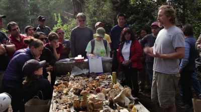 There is a great need
for more people to study fungi - Fantastic Fungi