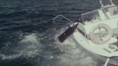 There was a horrible cracking sound,
the bit of the decking - Playing with Sharks