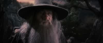 There is a houseit's not far from here where we might take refugeWhose houseAre they friend or foeNeitherHe will help us orhe will kill us - The Hobbit: The Desolation of Smaug