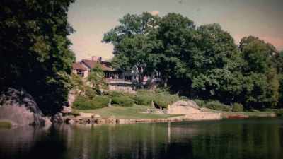 There was a huge,
beautiful house, - Trees and Other Entanglements