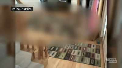 There was a male deceased - Mastermind of Murder