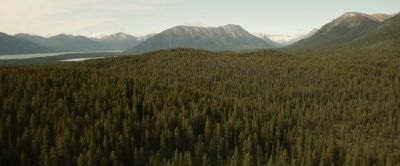 There is a place in these mountains - The Call of the Wild