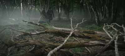 There is a root
that grows near here - The Serpent Queen