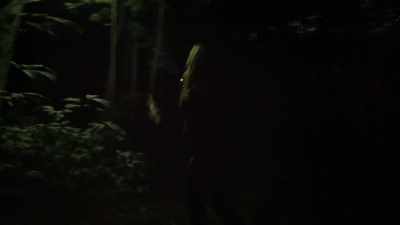 There was a very heavy
tree trunk - Expedition Bigfoot