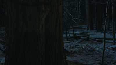 There was a winter - The Windigo