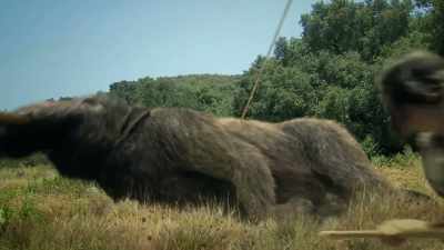 There is actually
scientific basis for animals - The Alaska Triangle