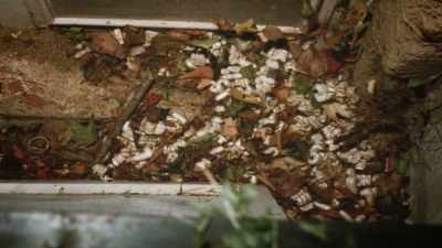 There was also foliage
under the grate - How It Really Happened