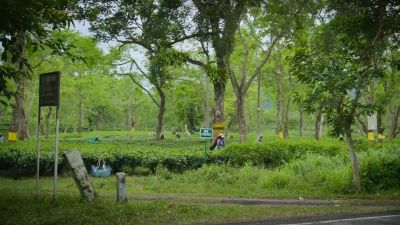 There are 1.4 billion people in India. - Big Beasts