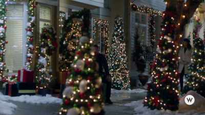 There are a few things - A Christmas Treasure