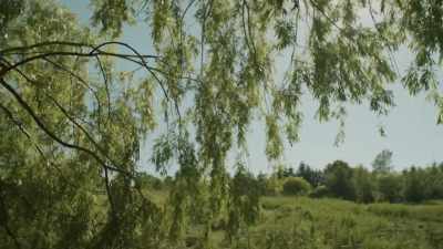  There are a number
 of unmarked graves - Black Life: Untold Stories
