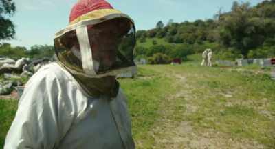 -There are about 320 hives
that we're going to assess - The Pollinators