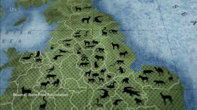 There are all kinds of species - Britain's Tiger Kings - On the Trail with Ross Kemp
