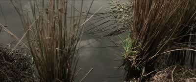 There are dead thingsDead faces in the waterAll dead All rottenElves and Men and OrcsesA great battle long agoDead MarshesYes Yes that is their name - The Lord of the Rings: The Two Towers