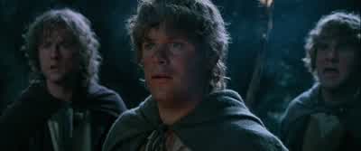 There are five Wraiths behind you. - The Lord of the Rings: The Fellowship of the Ring