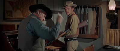 There are four of them - The Sons of Katie Elder