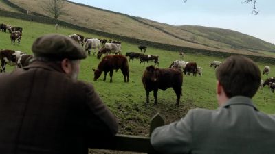 There they are. I'll get the lads together. - All Creatures Great & Small