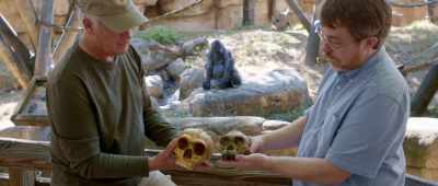 ... there are many differences between them. - Is Genesis History?