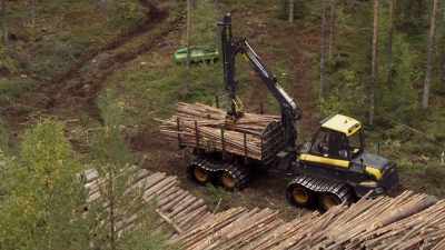 There are more forest reserves
in Finland now - Wild Nordic