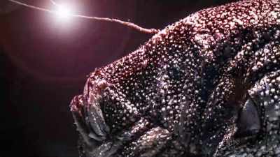 There are more
surprises to come, - The UnBelievable with Dan Aykroyd