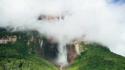 There are more than 50 such
isolated mountain plateaus here, - The Green Planet