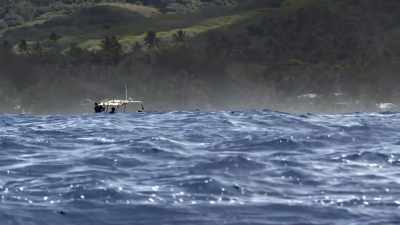 There are no other mammals
that use song this way. - Secrets of the Whales