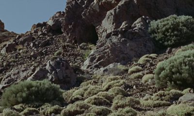 There are not many men yet - One Million Years B C