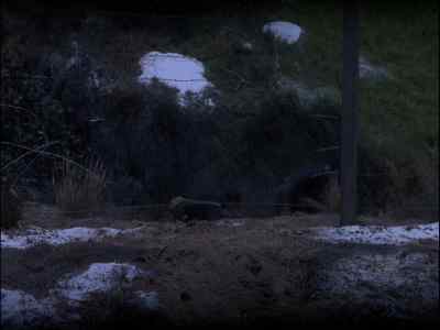 There they are now. - Hogan's Heroes