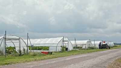 There are opportunities that
have been created due to COVID. - Food and Country