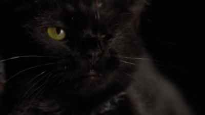 There you are. - Masters of Horror