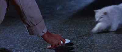 There we are. - The Fly