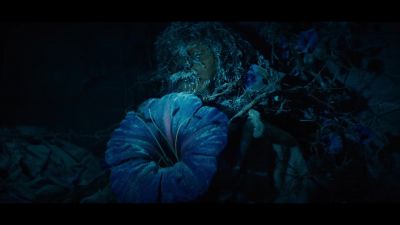 There you are. - Sweet Tooth