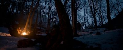There are traces of a camp.… There are traces of a camp.… Where? - The Revenant