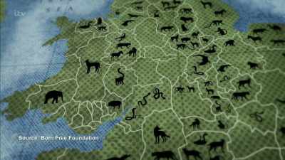 'There are two elephants
in Carmarthenshire, - Britain's Tiger Kings - On the Trail with Ross Kemp