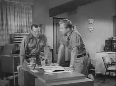 - There are two forms of life fighting - The Gilligan Manifesto