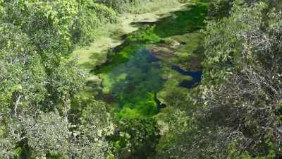 There are water worlds here that
are so remote that, even today, - The Green Planet