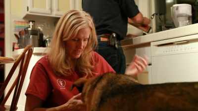 There aren't any pathogens
in that raw food - Pet Fooled