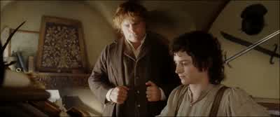 There and Back Again A Hobbit's Tale by Bilbo BagginsAnd The Lord of the Rings by Frodo BagginsYou finished itFRODO Not quiteThere's room for a little more - The Lord of the Rings: The Return of the King