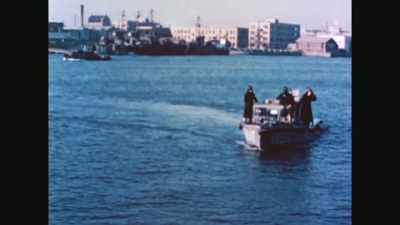 - There were barrels of
silicone on the harbor - Explant