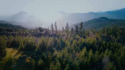There has been another death
at a Billy Garrett retreat. - Chronicle Mysteries: Helped to Death